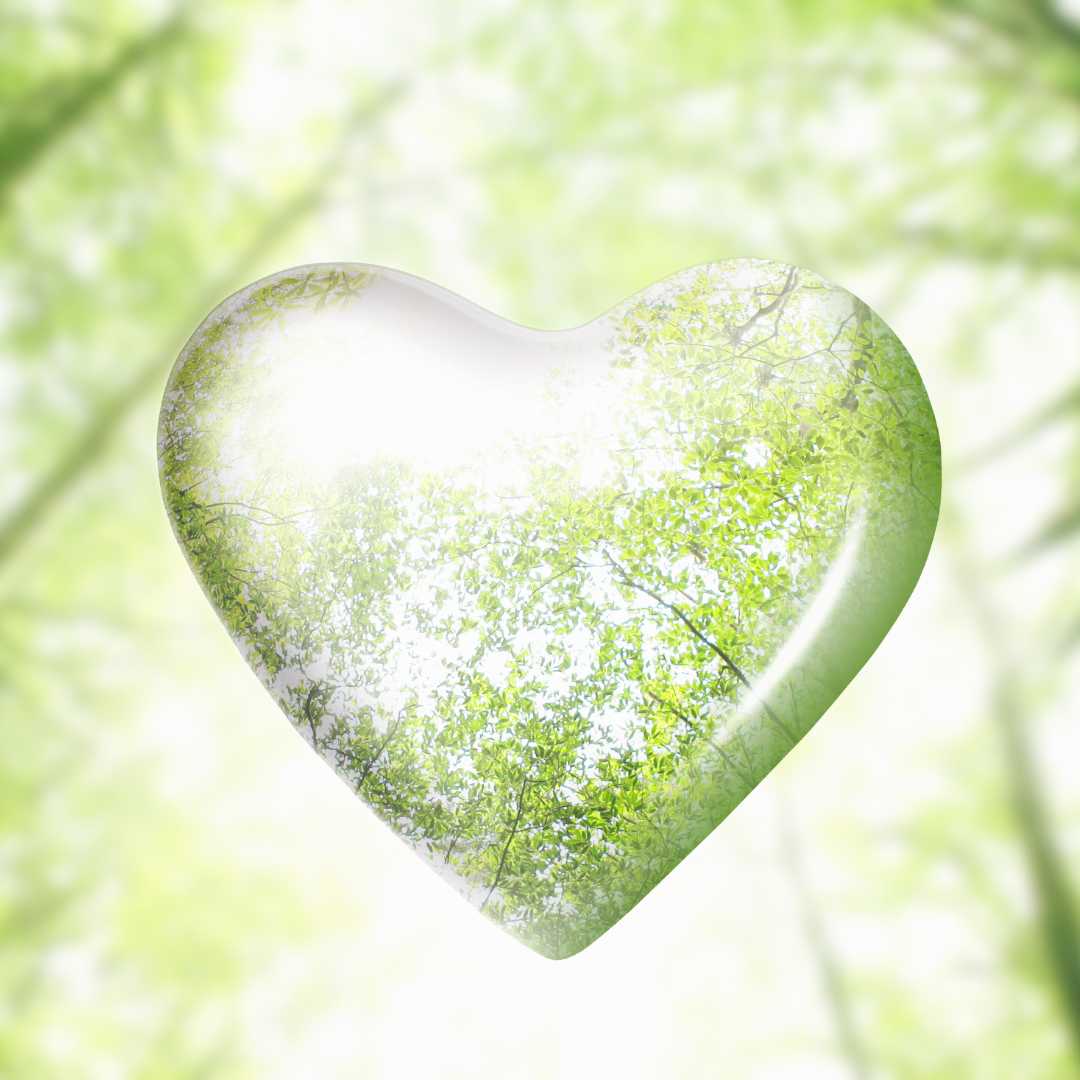 Eco Bonus fino al 65% di detrazioni